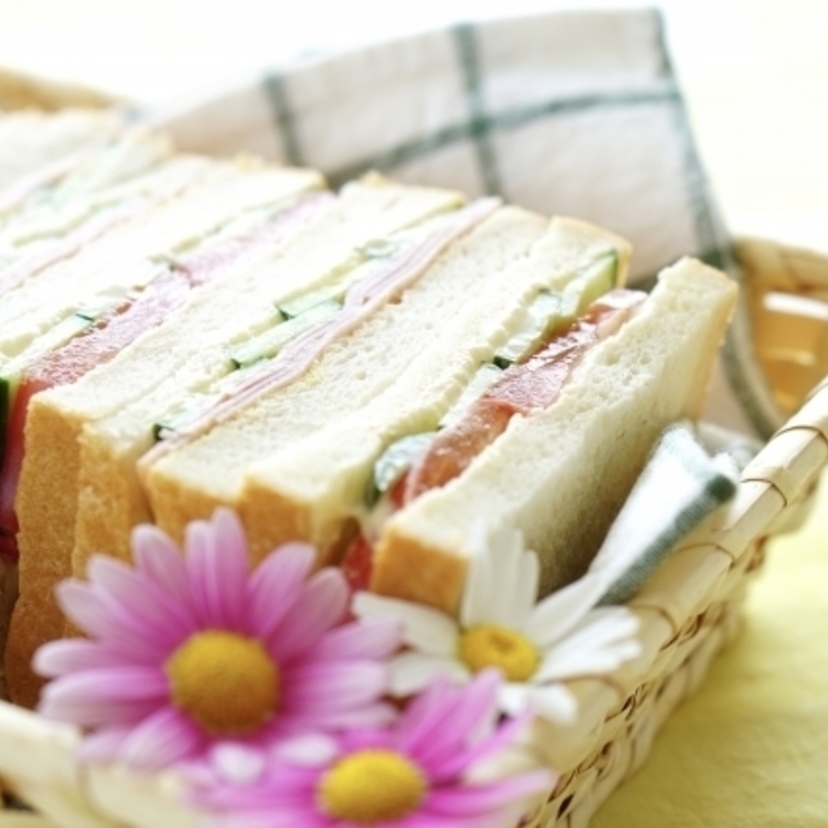 ピクニックおすすめのサンドイッチケース5選！おしゃれレシピも紹介