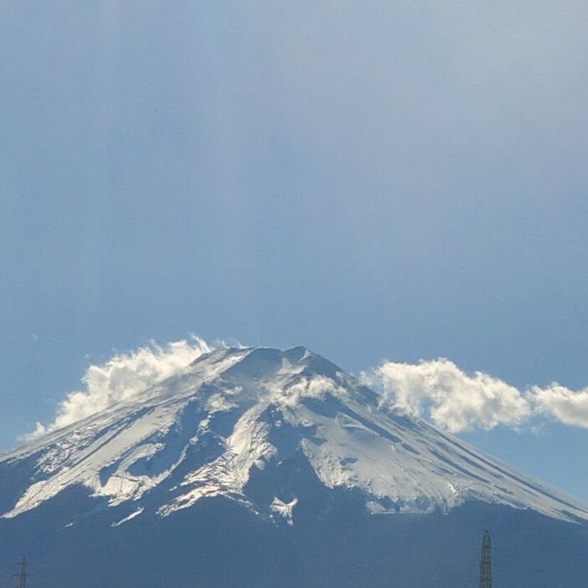 【山梨】富士山麓最大級の広さ！プライベート感溢れる「マウントフジキャンプリゾート」をレビュー