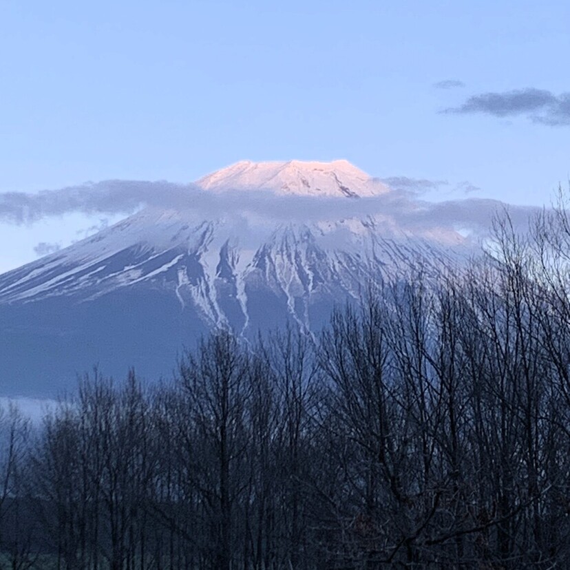 【静岡】富士の絶景！ゆるがないキャンパーの聖地「ふもとっぱら」をレビュー				