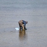 城南島海浜公園の潮干狩り情報まとめ！おすすめの時期や必要な道具も