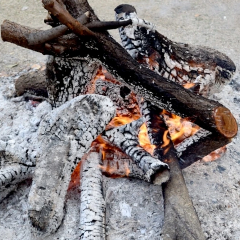 焚き火を成功させる薪の組み方・選び方を伝授！おすすめの種類は？