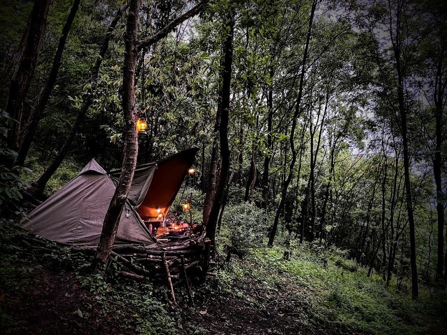 森とテント