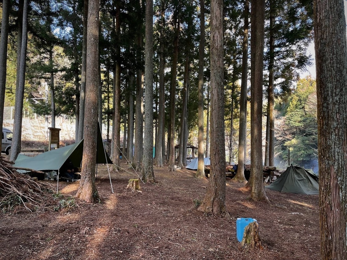 林間サイトにあるテント